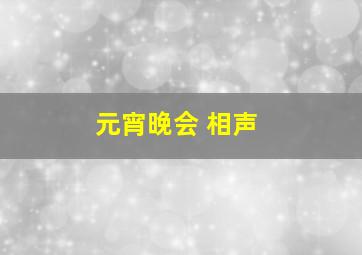 元宵晚会 相声